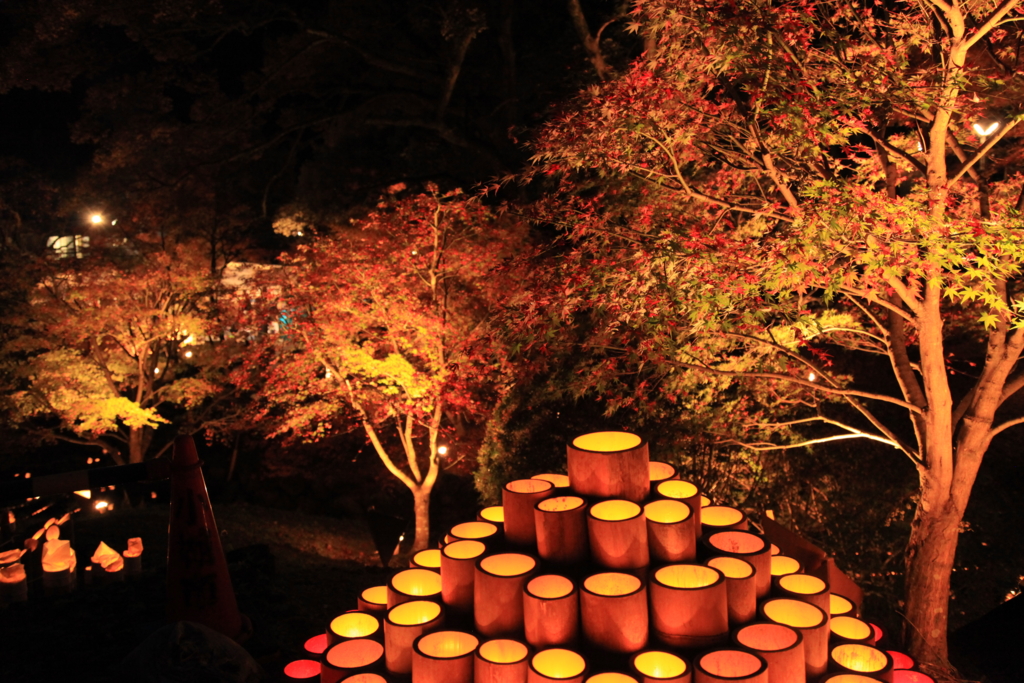 f:id:astral01:20161126233927j:plain