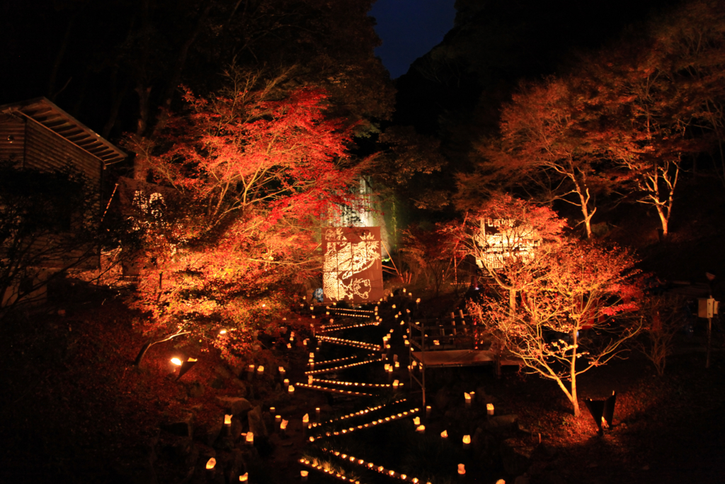 f:id:astral01:20161126234006j:plain