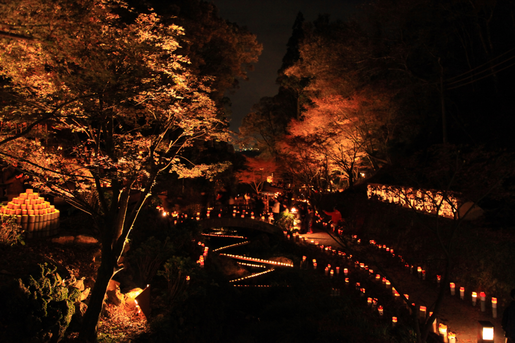 f:id:astral01:20161126234830j:plain