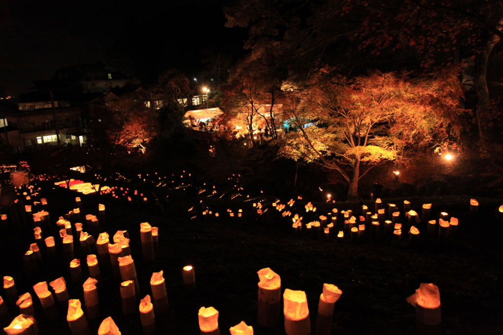 f:id:astral01:20161126235257j:plain