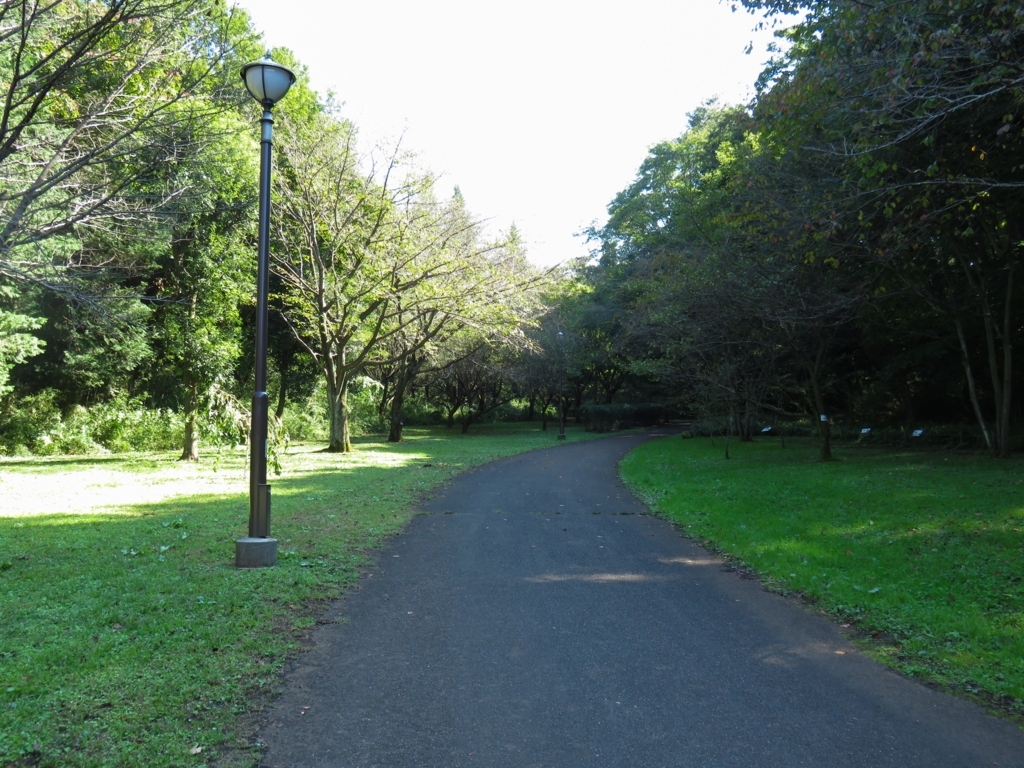 f:id:astral01:20171022143559j:plain f:id:astral01:20171022143559j:plain