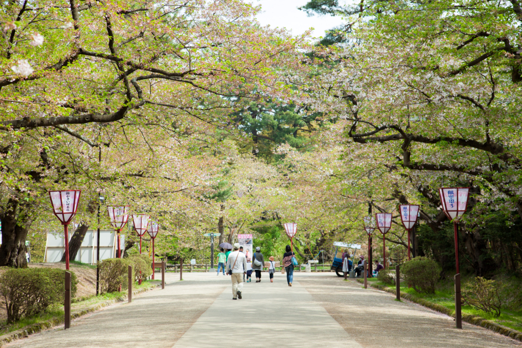 f:id:astral01:20180426003047j:plain