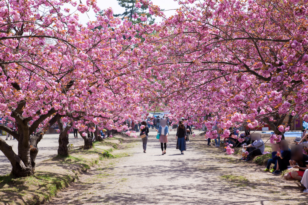 f:id:astral01:20180426003236j:plain