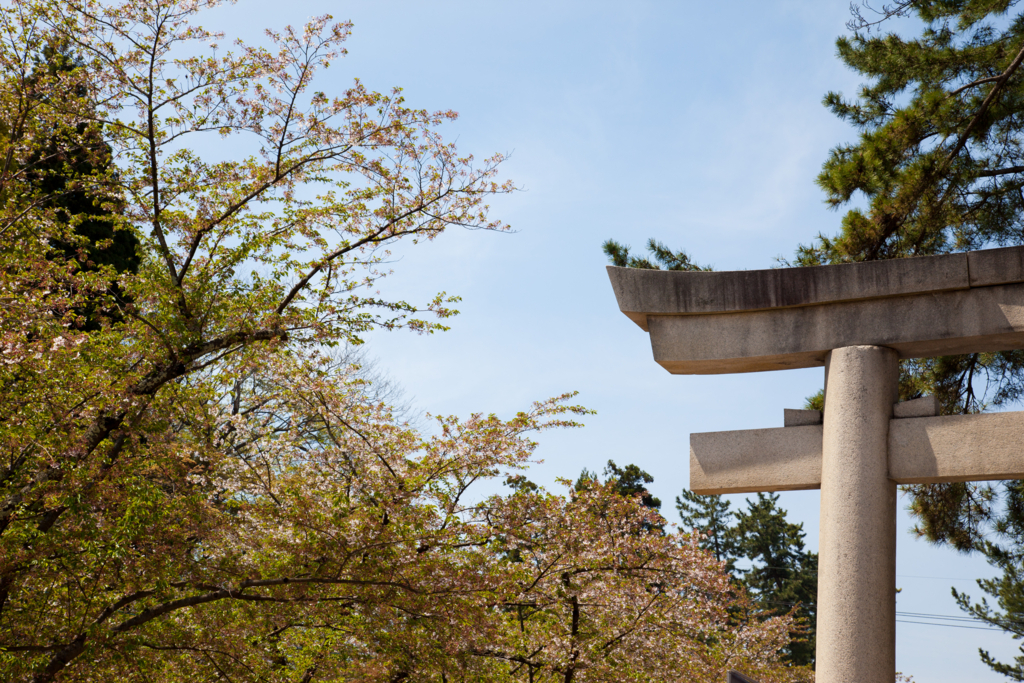 f:id:astral01:20180426004401j:plain