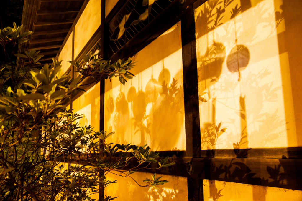 f:id:astral01:20180722204425j:plain f:id:astral01:20180722204425j:plain