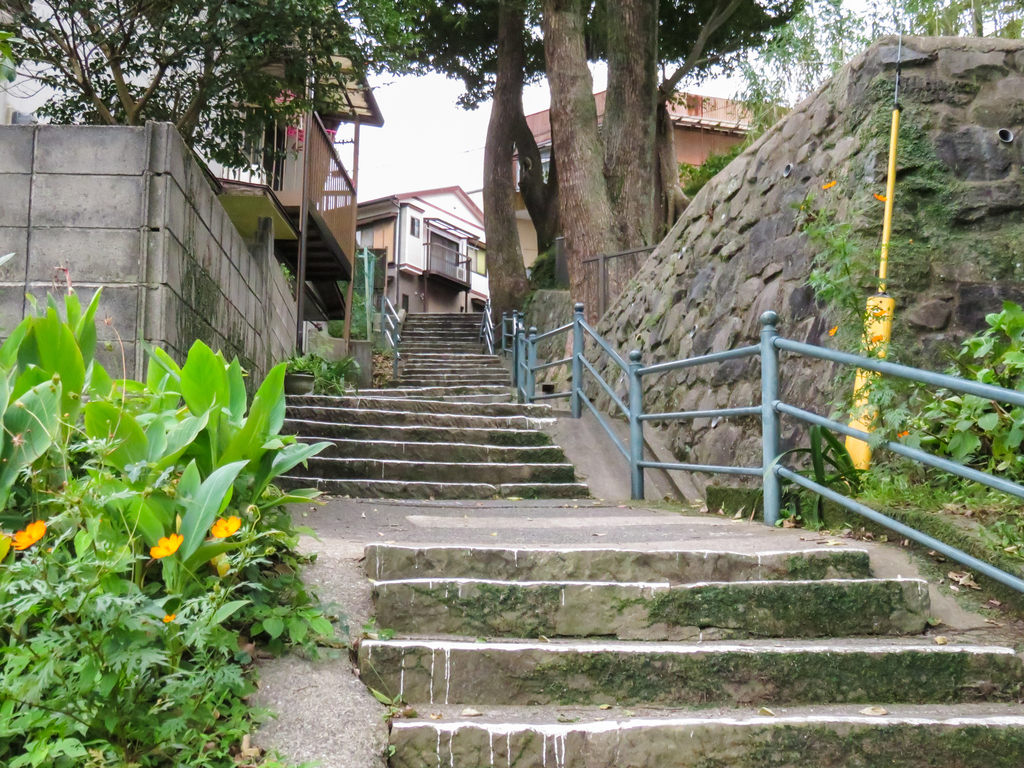 f:id:astral01:20181014224441j:plain f:id:astral01:20181014224441j:plain