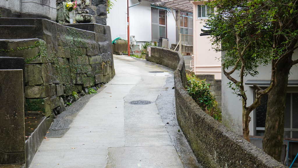 f:id:astral01:20181227005822j:plain f:id:astral01:20181227005822j:plain