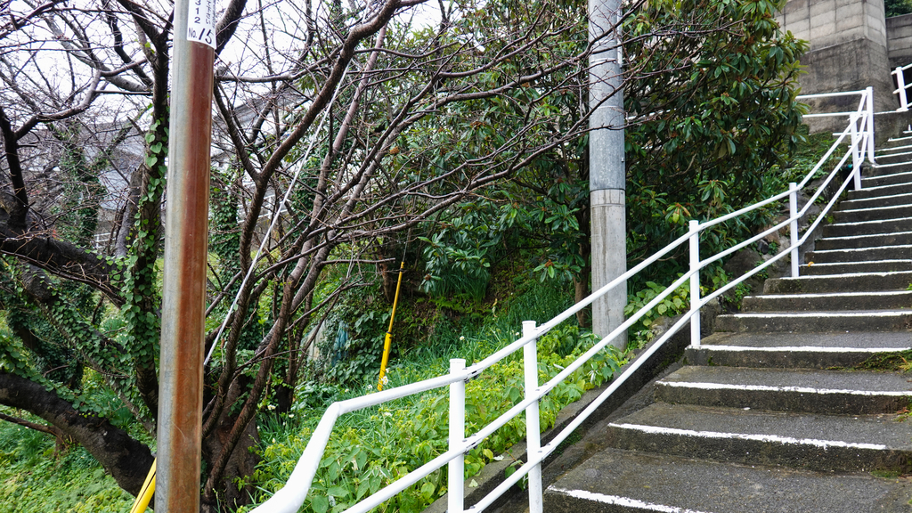 f:id:astral01:20181227010125j:plain f:id:astral01:20181227010125j:plain