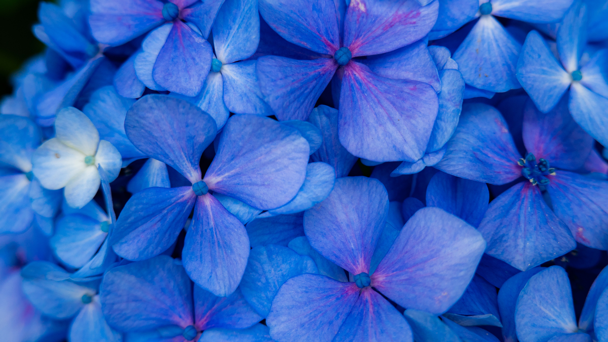 f:id:astral01:20190620230847j:plain f:id:astral01:20190620230847j:plain