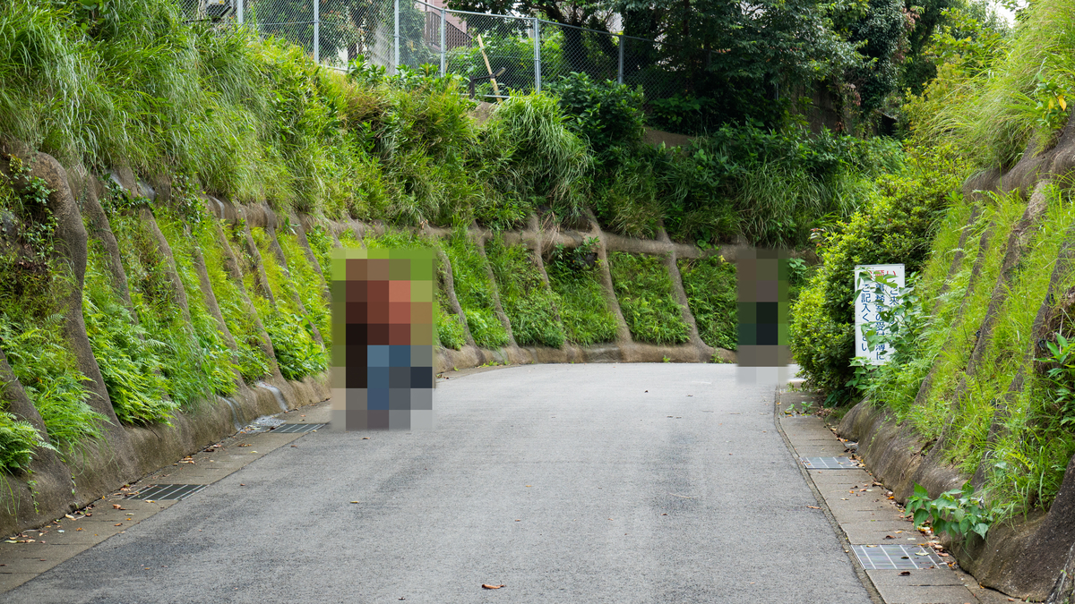 f:id:astral01:20190909231845j:plain f:id:astral01:20190909231845j:plain