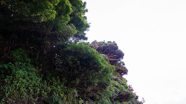 f:id:astral01:20210727005304j:plain