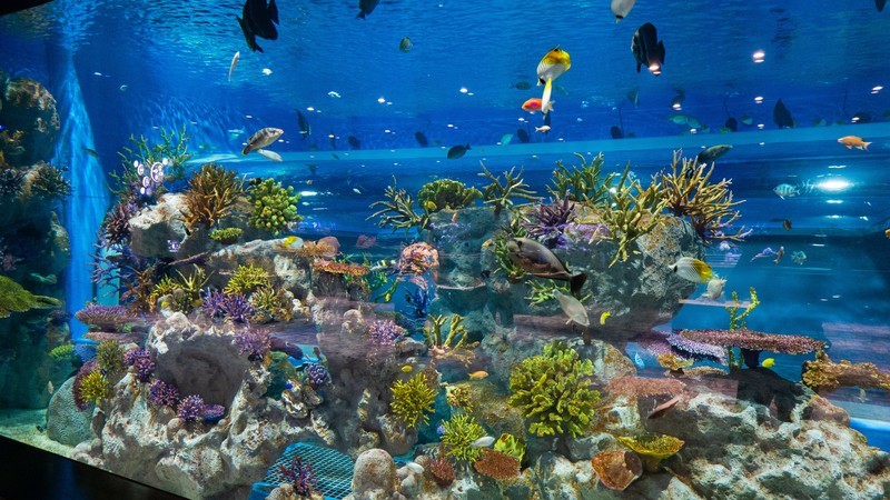 f:id:astral01:20210802205621j:plain