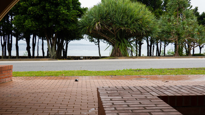 f:id:astral01:20211128224616j:plain