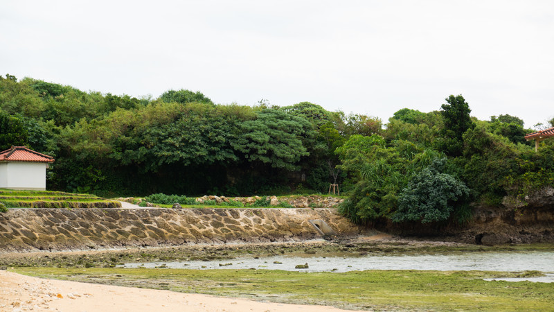 f:id:astral01:20211128224834j:plain