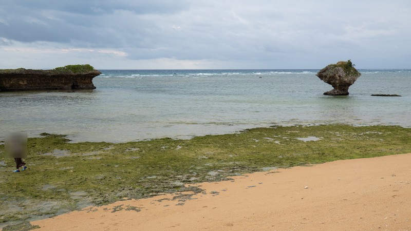 f:id:astral01:20211128224901j:plain