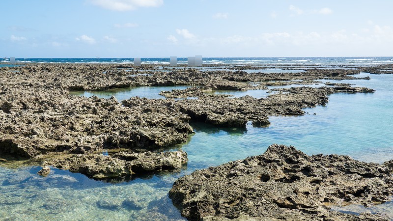 f:id:astral01:20211128225044j:plain