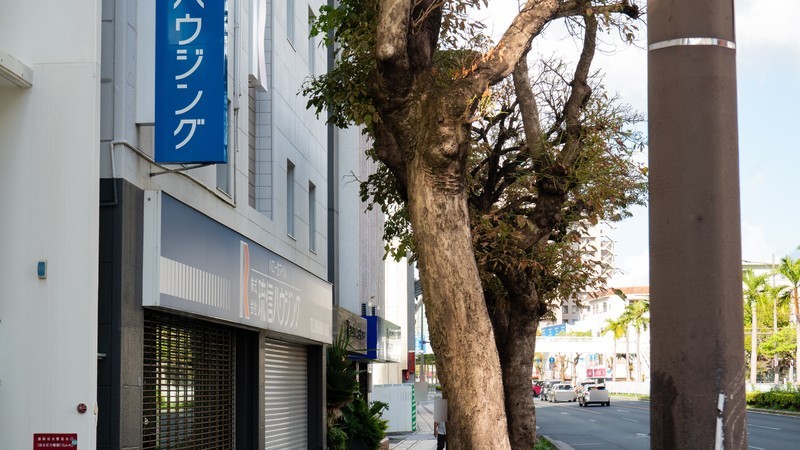 f:id:astral01:20211128230842j:plain