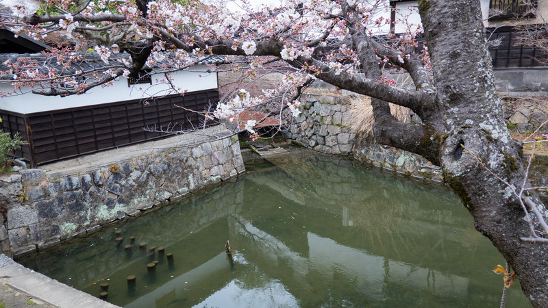 f:id:astral01:20220331005252j:plain