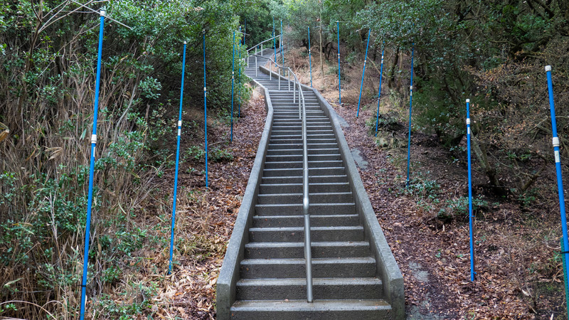 f:id:astral01:20220331005746j:plain