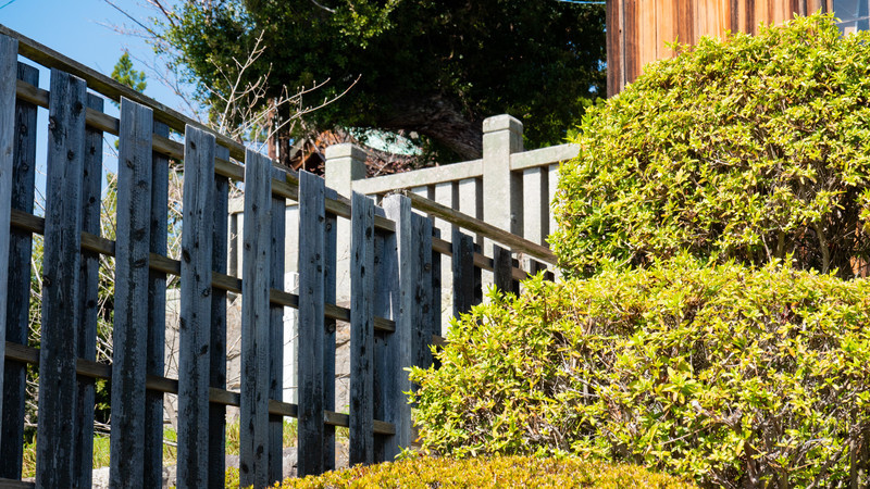 f:id:astral01:20220331010648j:plain