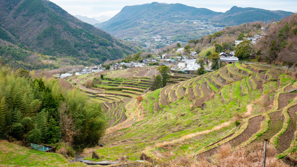 f:id:astral01:20220406214344j:plain