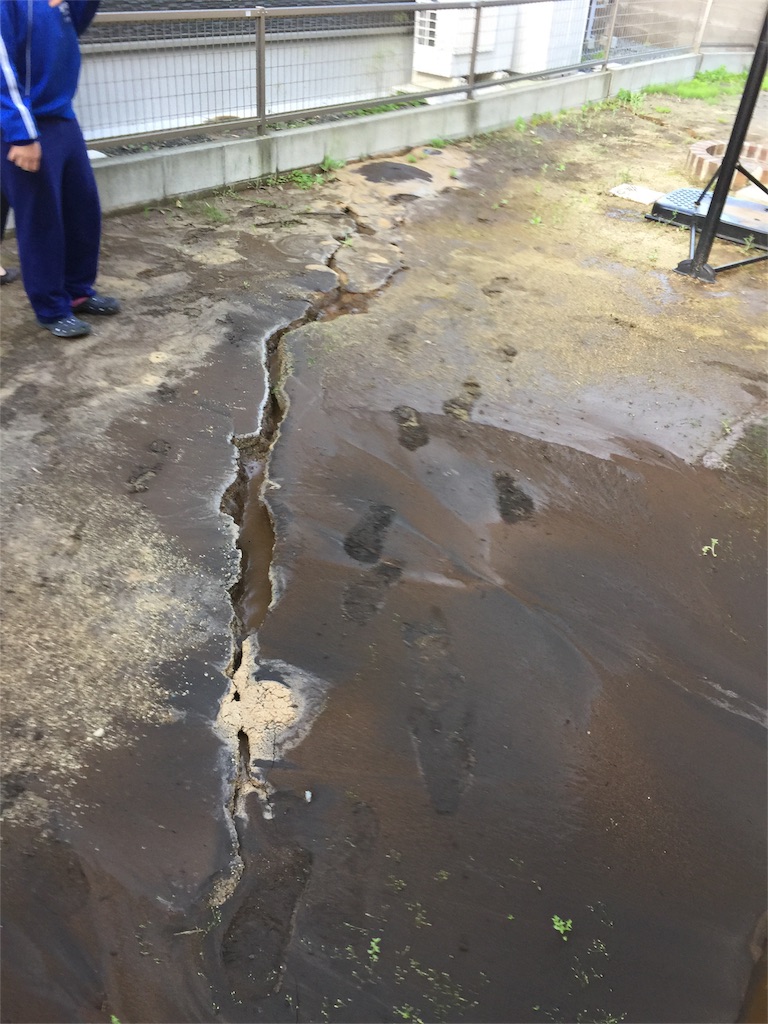 f:id:astrayroad:20160417073623j:plain