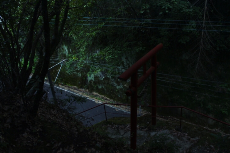 夜の神社