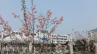 f:id:astroboy123:20170222133335j:image f:id:astroboy123:20170222133335j:image