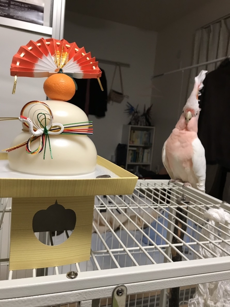 f:id:astronomy0412:20190111233543j:plain