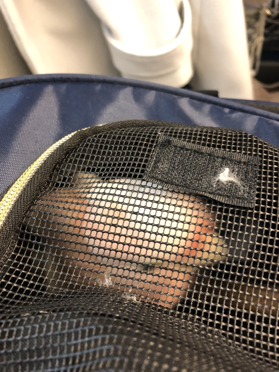 f:id:astronomy0412:20190322203729j:plain