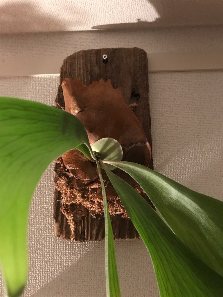 f:id:asu0906ka195:20170827100314j:image f:id:asu0906ka195:20170827100314j:image