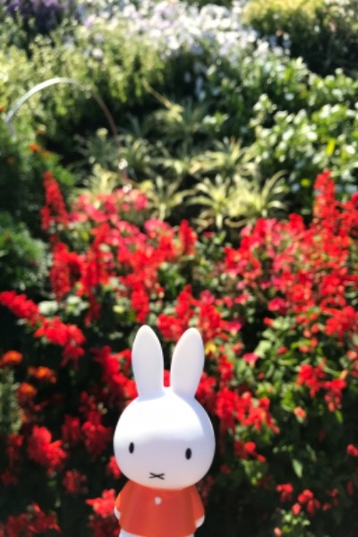 f:id:asu_blog_1:20181024085951j:plain