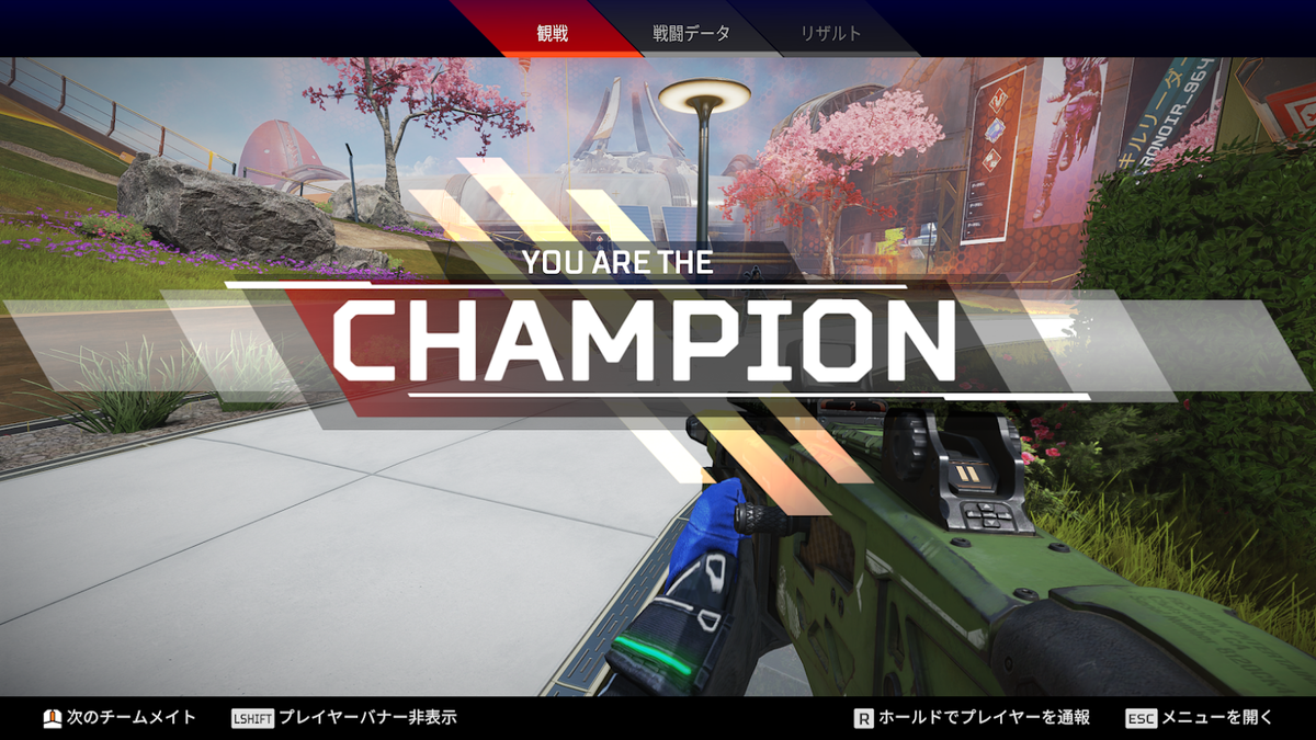 オプション Apex 起動