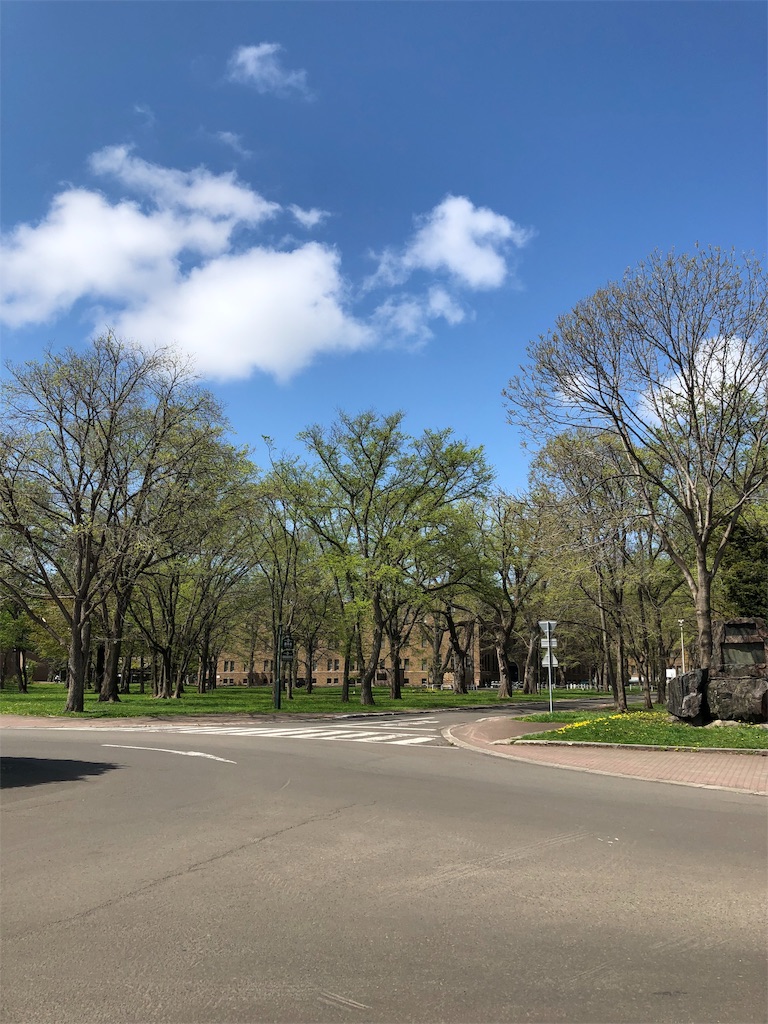 f:id:asugar:20190512223158j:image f:id:asugar:20190512223158j:image