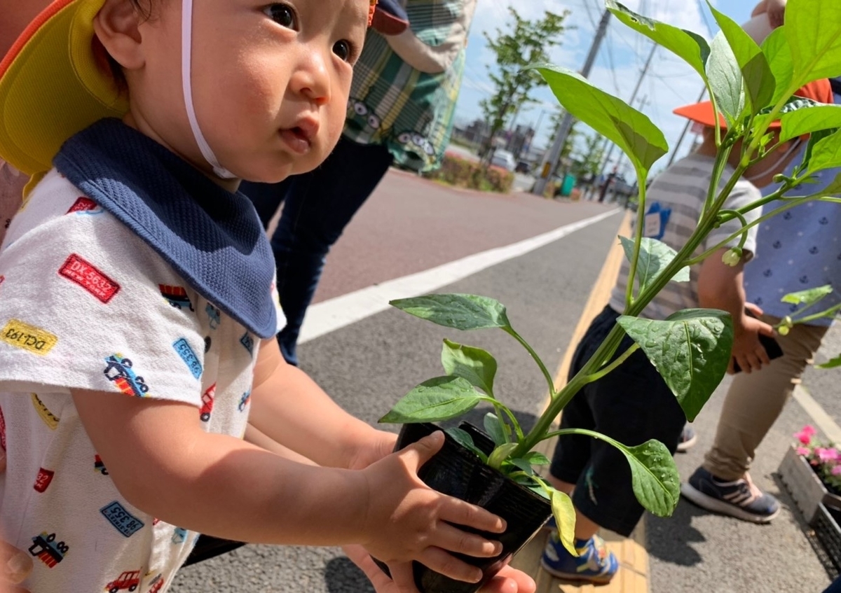 f:id:asuikuhoikuen:20200602152426j:plain f:id:asuikuhoikuen:20200602152426j:plain