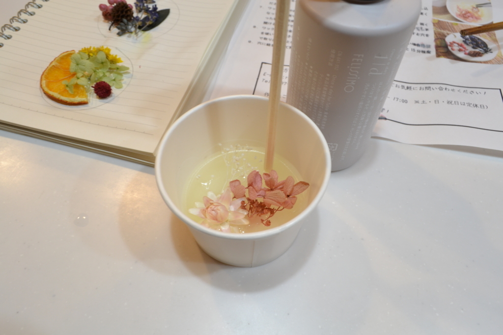 f:id:asuka-hiraya:20180104155721j:plain f:id:asuka-hiraya:20180104155721j:plain