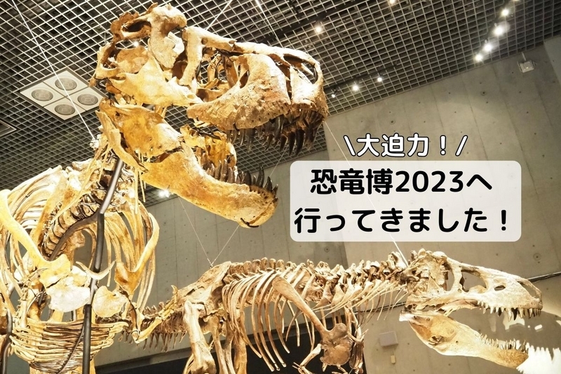 恐竜博2023に行ってきました。貴重な化石と大迫力の全身骨格に大興奮