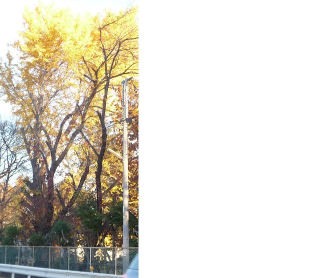 f:id:asuka201011:20101204171020j:image