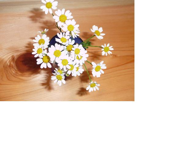 f:id:asuka201011:20110212201255j:image