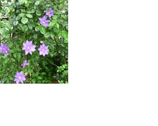 f:id:asuka201011:20110510214814j:image:w640