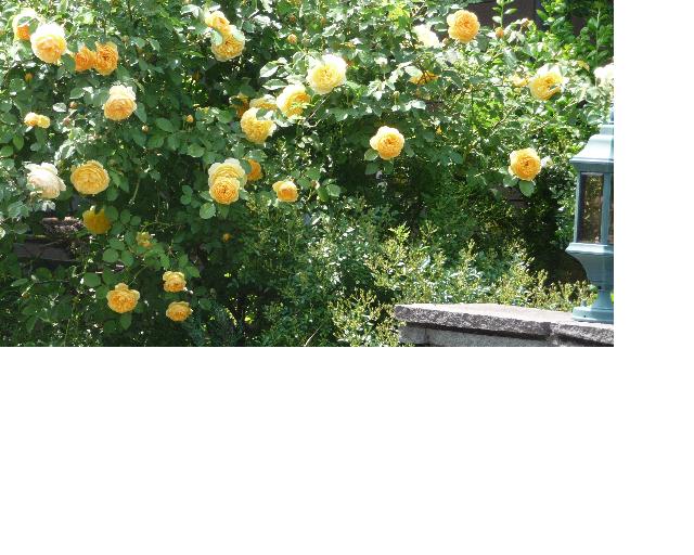 f:id:asuka201011:20110522194810j:image:w640