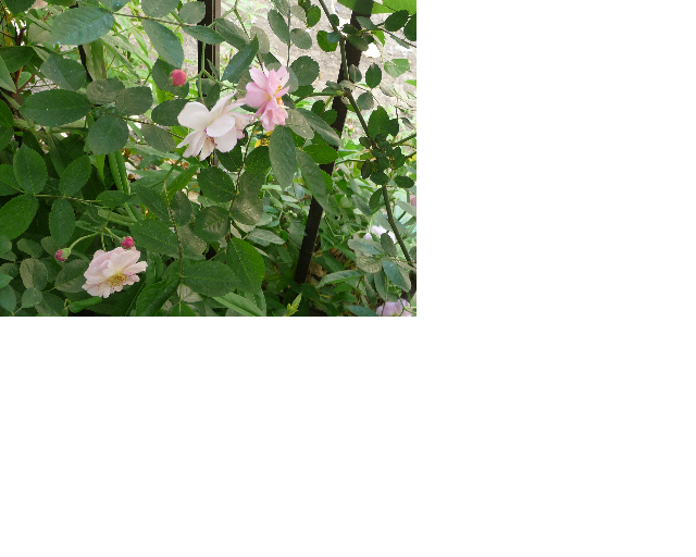 f:id:asuka201011:20110525212252j:image:w640