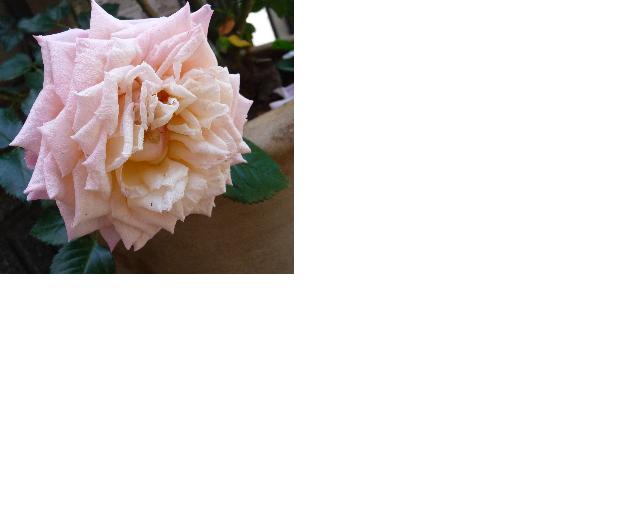 f:id:asuka201011:20110527221341j:image:w640:left
