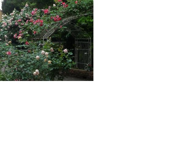 f:id:asuka201011:20110530202950j:image:w640