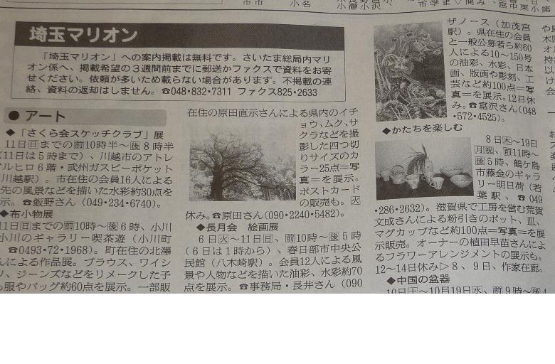 20110913202520