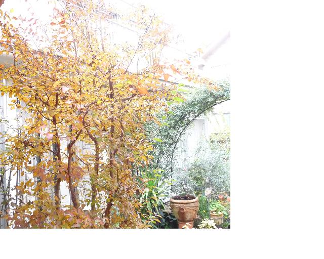 f:id:asuka201011:20111209201921j:image:w640