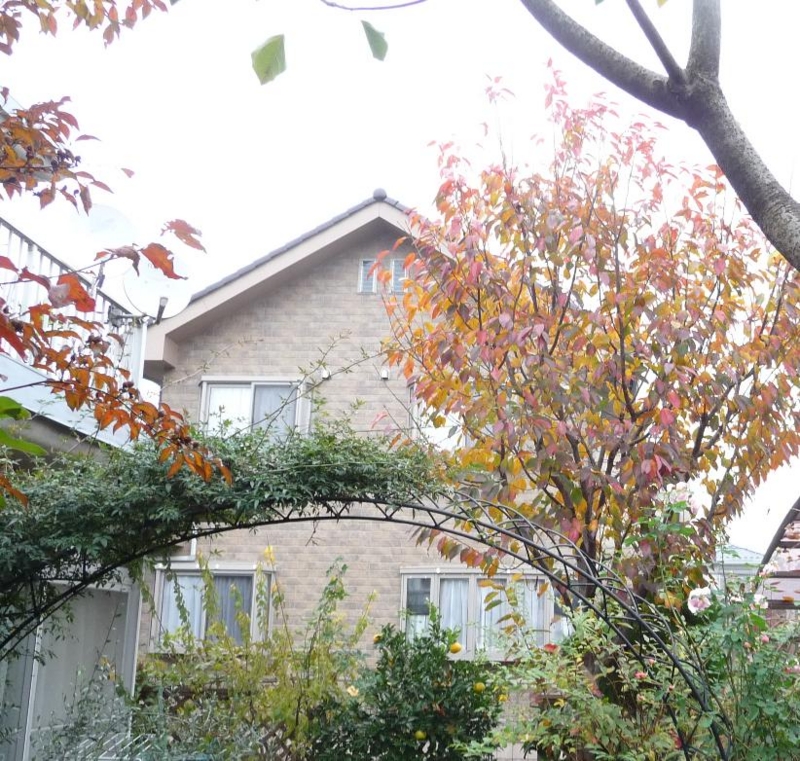 f:id:asuka201011:20111209201954j:image:w640