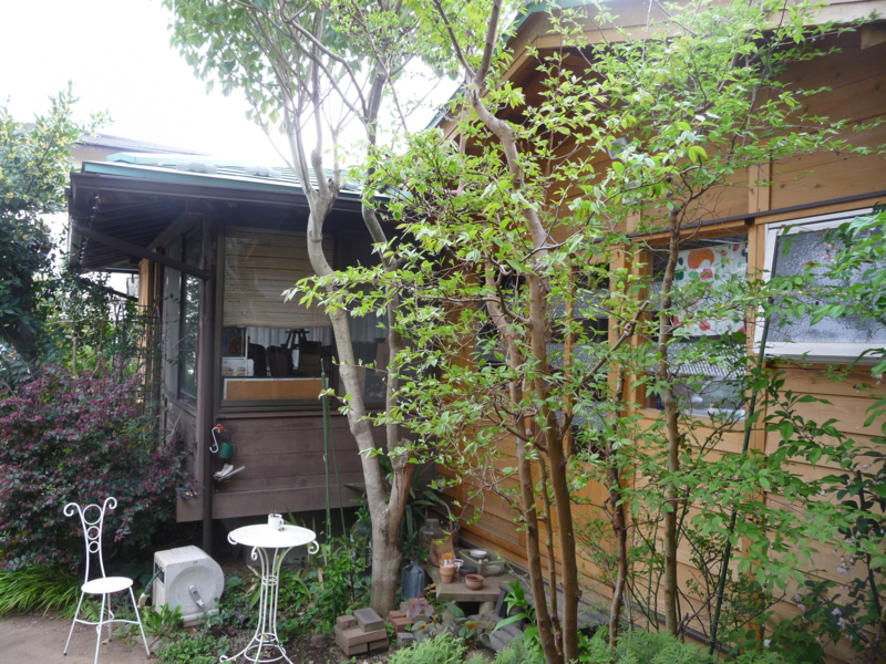 f:id:asuka201011:20130414155235j:image:w360