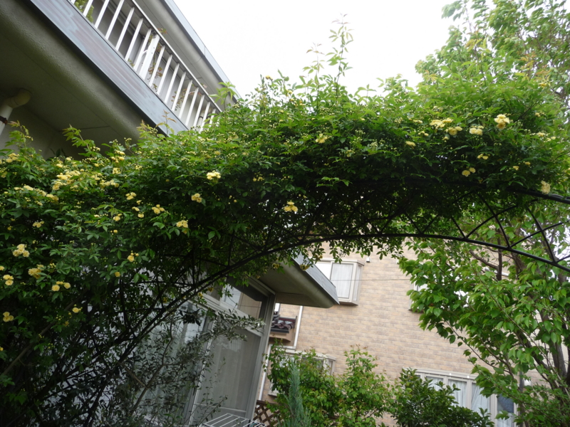f:id:asuka201011:20130414155335j:image:w360