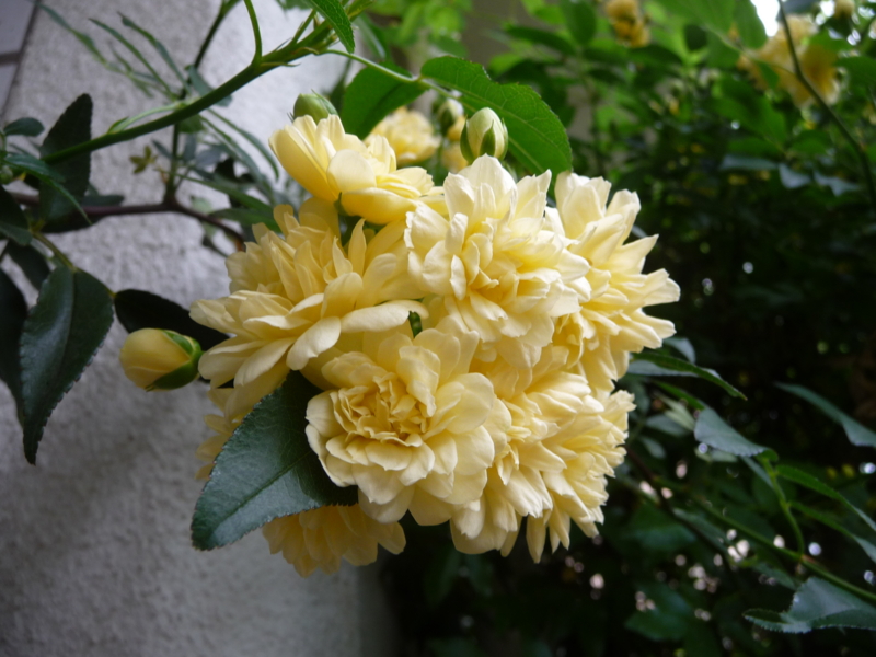 f:id:asuka201011:20130414155548j:image:w360
